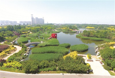 天津临港湿地公园二期明年5月完工(图)