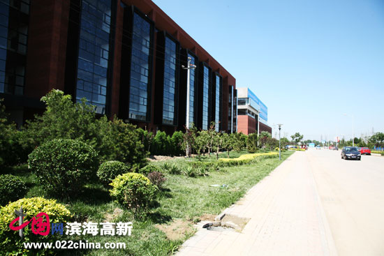 组图:天津滨海高新区软件与服务外包产业基地