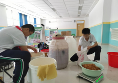 天津师范大学滨海附属学校积极拓展校内教学资源 全面建设绿色校园