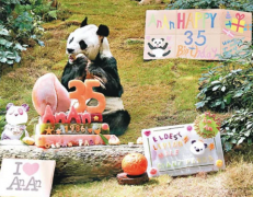 据香港东网报道，大熊猫“安安”21日早上在香港海洋公园去世，终年35岁