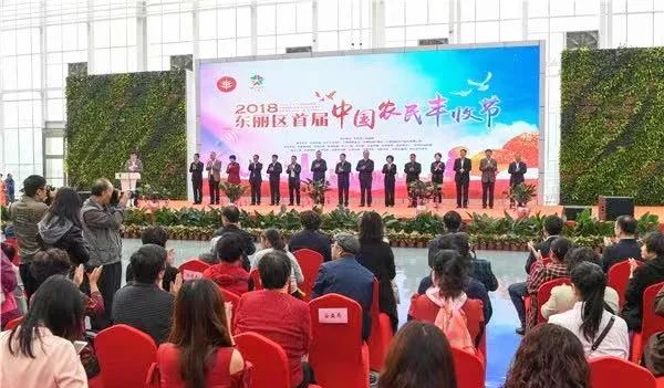 丰收节等活动在东信花卉展厅举办