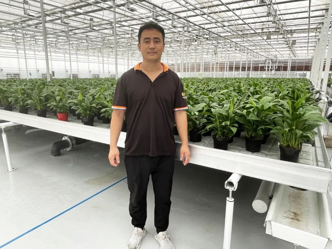 东信花卉副总经理吴建平