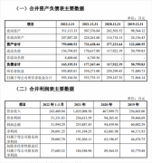 蜜雪冰城正式招股，三年赚近30亿 拟登陆深交所主板
