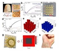 世界上第一个纳米结构电子皮肤设备 可长时间测量和处理生物信号