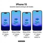 iPhone 15或将配备60 Hz的灵动岛标准版本