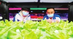 天津市第一百中学“智能生态社团”活动课走进“植物工厂”