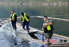 黔中平寨水库大水面增殖渔业起捕仪式25日举行