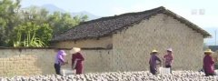 贺州市桂岭镇梅桂村食用菌生产基地年产值可达4000多万元