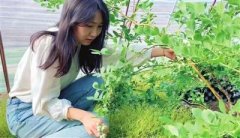 你知道谁是“津门蓝妹妹”吗