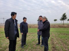 推动稻麦生产走向“四化”——江苏省睢宁县建设北斗技术装备百万亩示范区侧