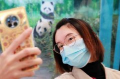 萌萌动物云端陪你过寒冬 明星小动物“触网出圈”