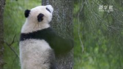 新华视点｜多样生物 多彩四川