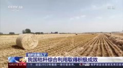 提升离田效能！看秸秆如何“变身”土地养分