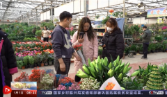 迎新年 各地假日市场供应丰富