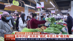 新年开启“买买买”模式 年货上架“唱主角”