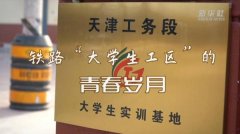 中铁成立汉沟线路车间“大学生工区” 为旅客平安出行贡献自己的青春力量
