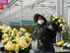 人头攒动的热乎劲又回来了 大小酒店也都恢复七成入住率