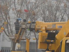 津南区小站镇树木穿“新衣” 营造浓厚的新春氛围