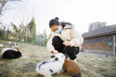 天津市动物园萌宠乐园里的萌兔园约您一起“撸兔”