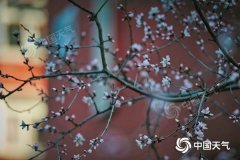 今明两天我国中东部大部气温将升至近期高点 多地降雨增多增强
