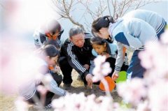 桃花园小学师生在综合实践基地开展种植实践活动