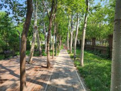 天津港保税区首批口袋公园建成投用，进一步感受到“三百米见绿，五百米见园