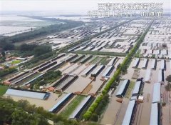 全力做好堤坝的巡查，减