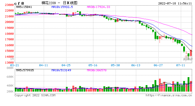 快讯：棉花期货主力合约触及涨停，报15275元/吨，涨幅9.03%