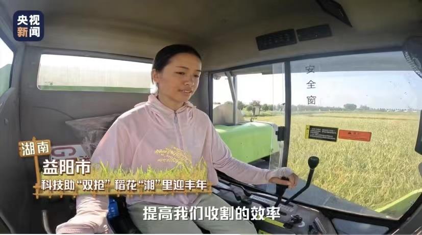 三级在线看中文字幕完整版: 劳动者视角看中国｜风吹稻浪渐闻米香